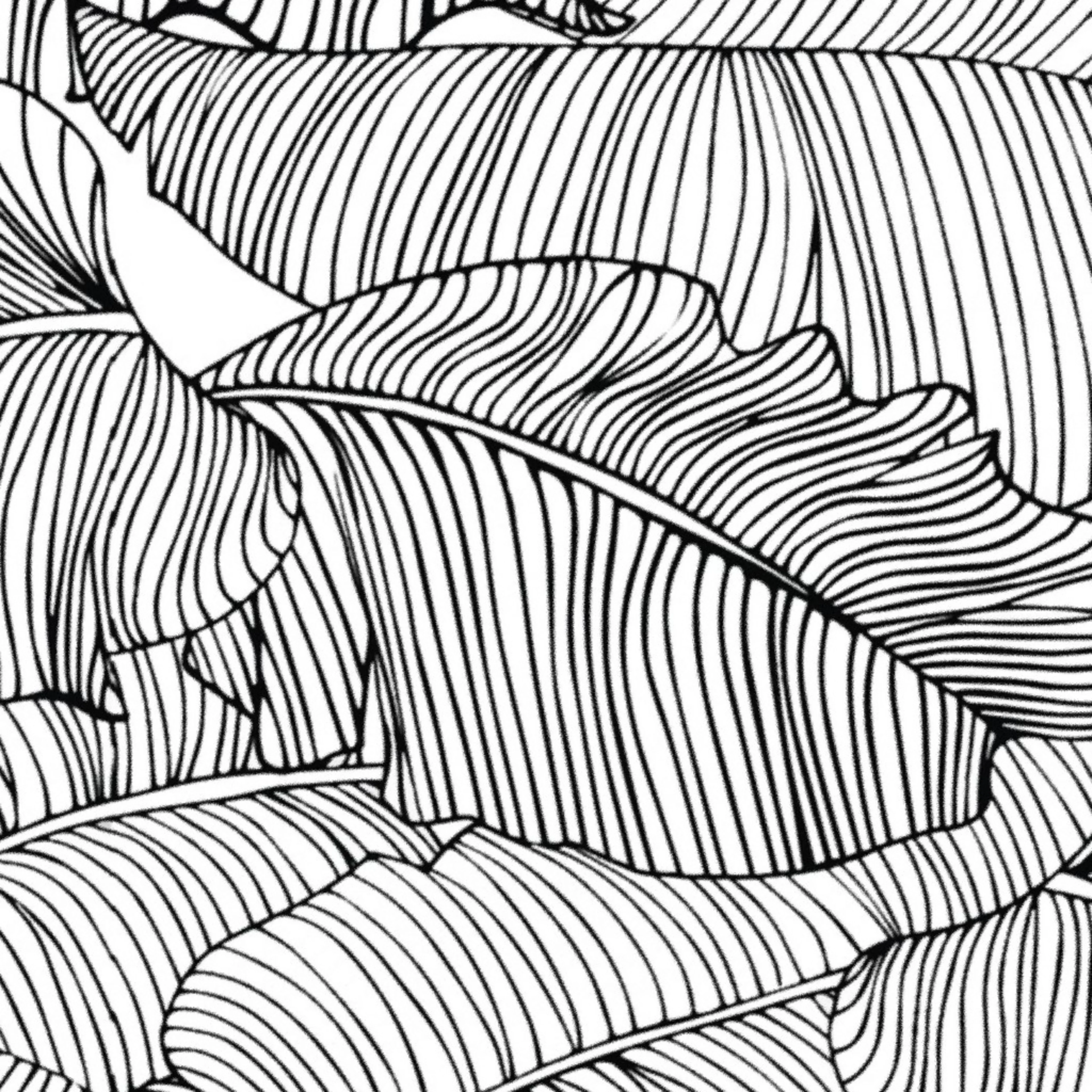 Banana Leaf Black and White Wallpaper by shellyturnerdesigns