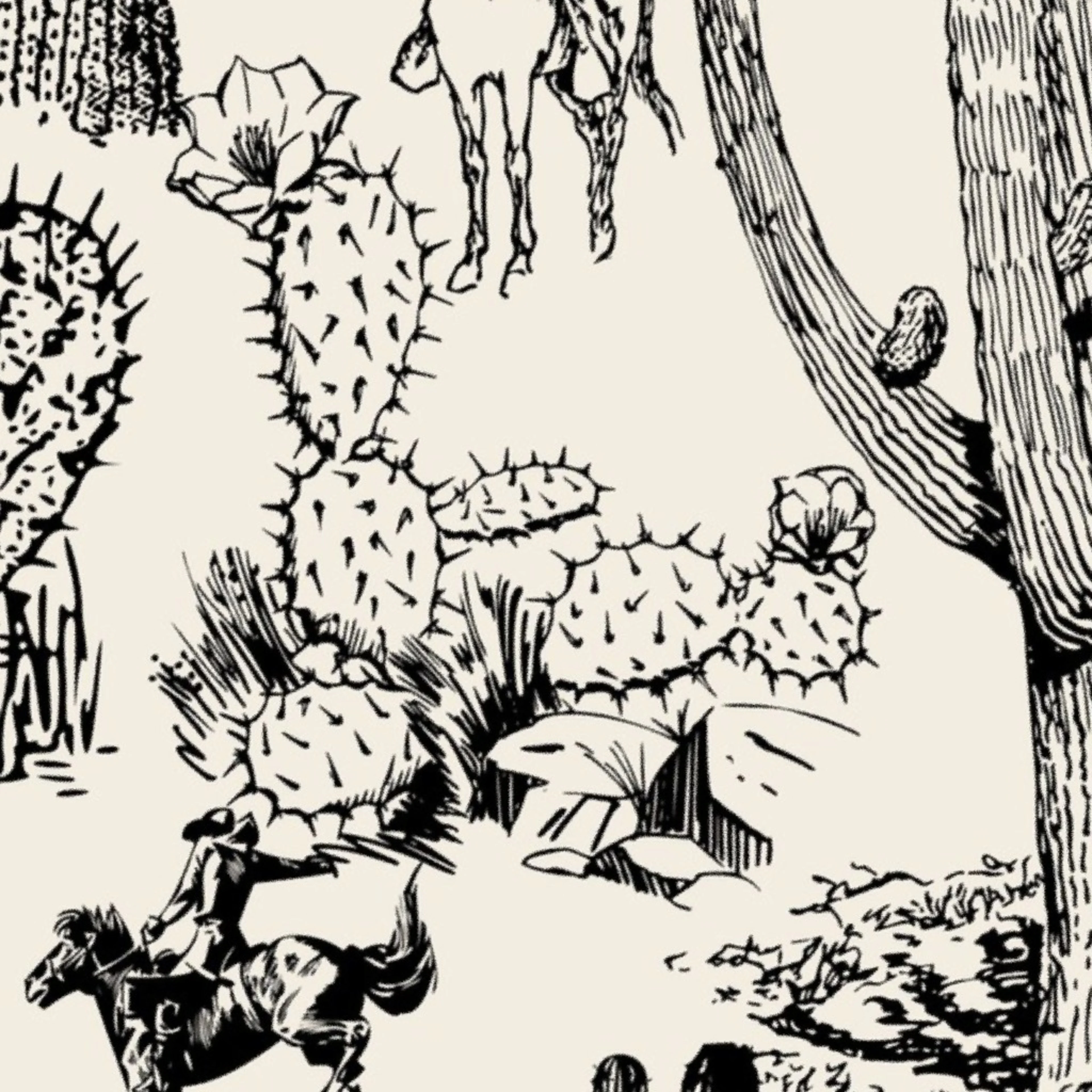 Western Cactoile in Cream + Black Wallpaper by yesterdaycollection