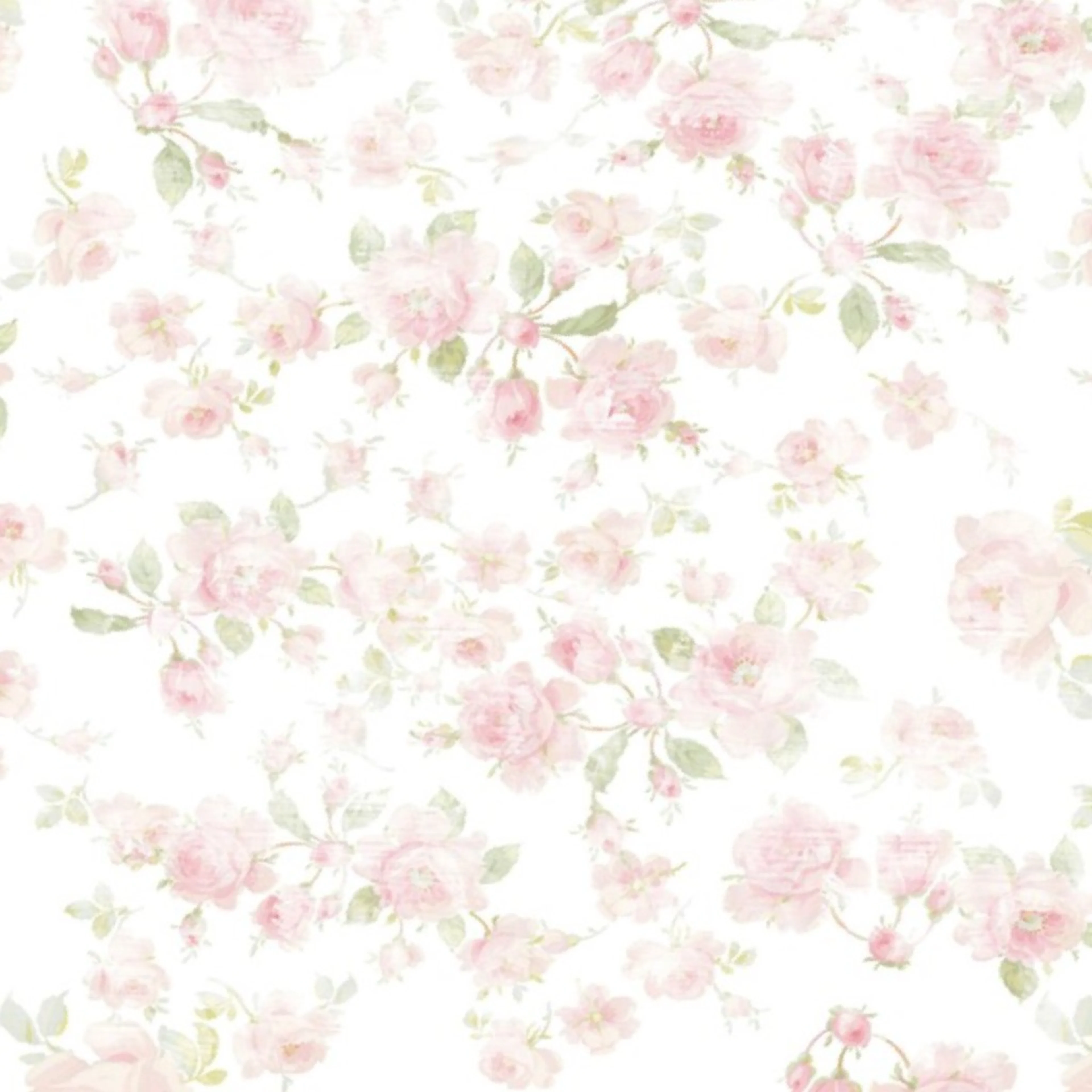 Wallpaper in Saint Colette June Roses white aged and faded by lilyoake