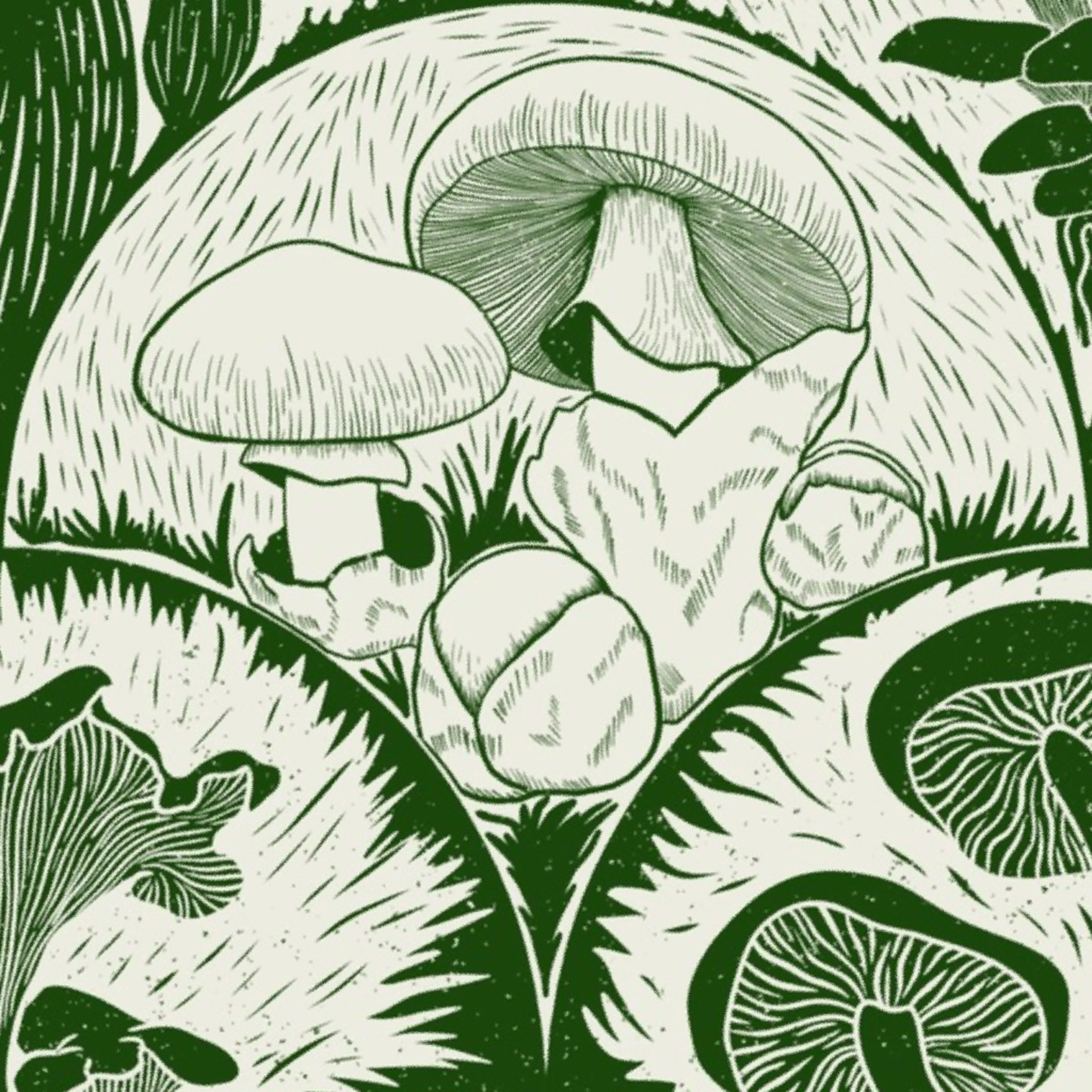 Woodland Botanical Edible Mushroom scallop Block Print Forest Green Wallpaper by denesannadesign.