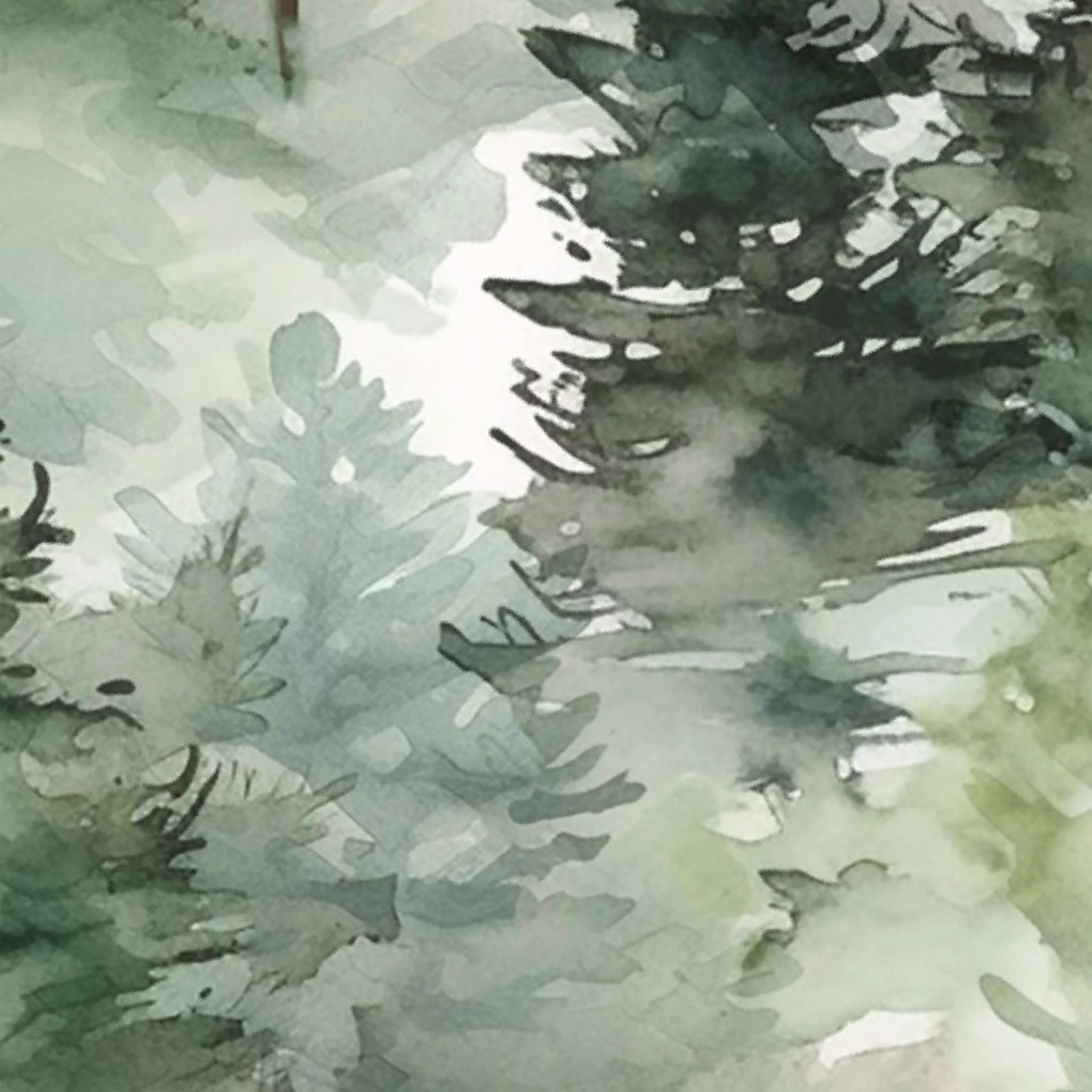 Dreamy Watercolor Evergreen Conifer Pine Tree Forest Large Wallpaper by kim_marshall_studio.