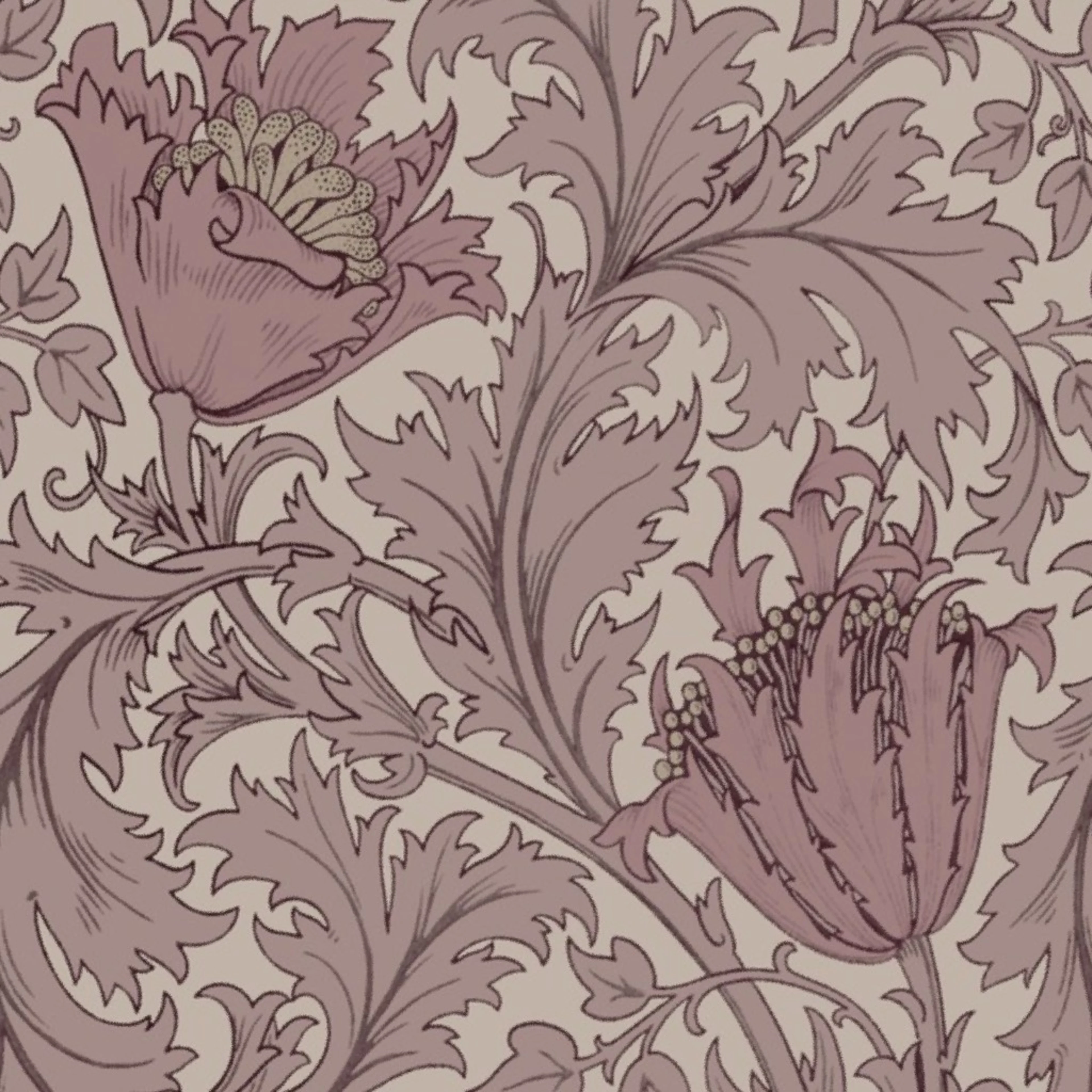 ANEMONE IN ANTIQUE MAUVE - WILLIAM MORRIS Wallpaper by salvagescapes
