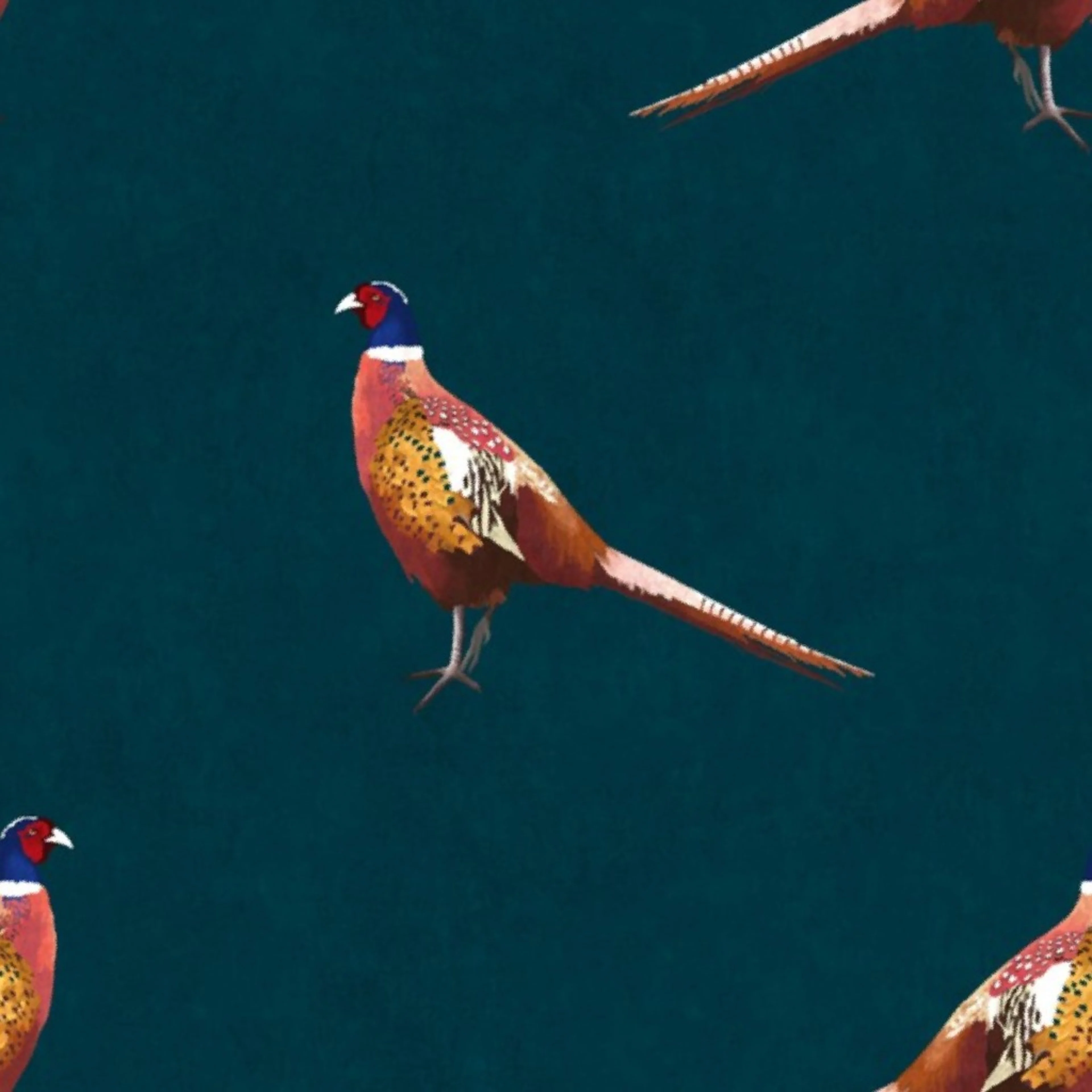 Single Pheasant - Deepest Blue, Brown, Copper, Orange Wallpaper by sarahthorpe_designs.
